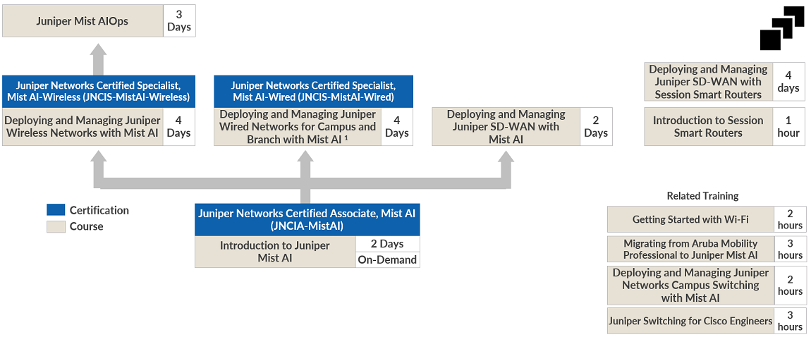 Juniper Networks Design Curriculum Learning Path (ES)